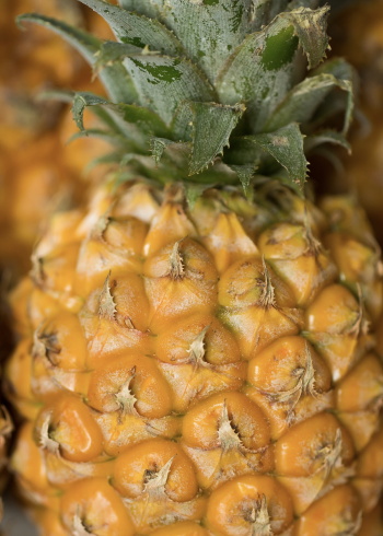 pineapple